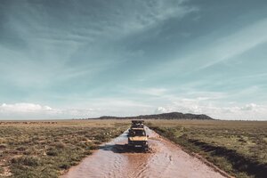 paola-blaskovic-OpTzLlDttYk-unsplash
