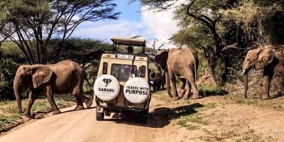 Sababu+Elephants