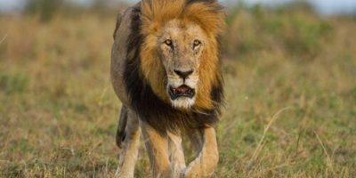abdelrahman-hassanein-TSNFhEttp0k-unsplash