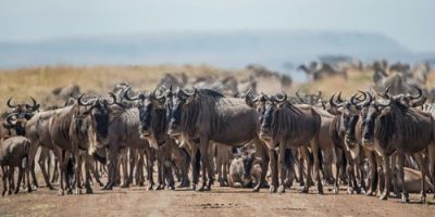 david-clode-azAbifyYlAM-unsplash