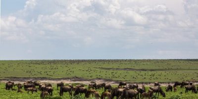 ngorongoro-conservation-area-2735629_1280