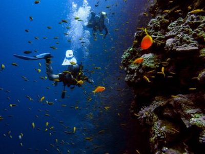 scruba+diving+zanzibar